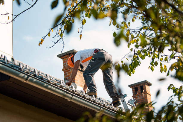 Steel Roofing in Hamtramck, MI