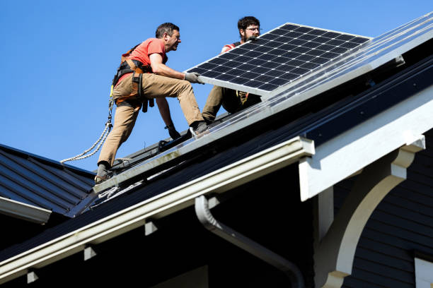 Best Roof Maintenance and Cleaning  in Hamtramck, MI