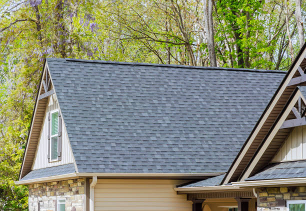 Best Roof Waterproofing  in Hamtramck, MI